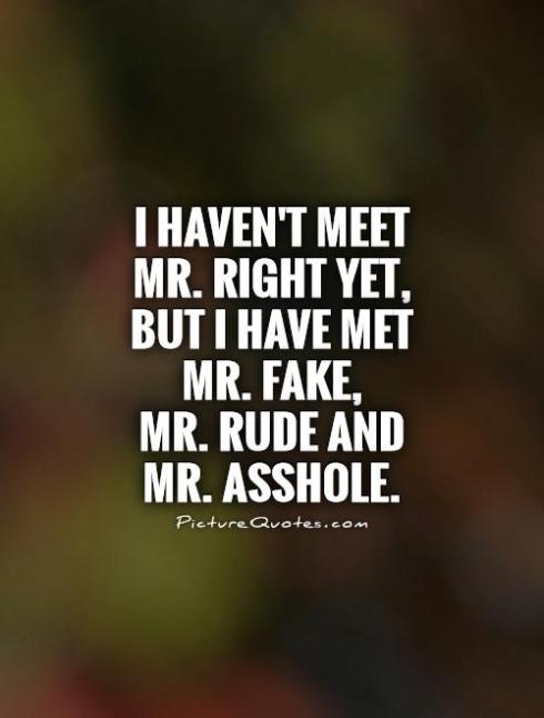 i-havent-meet-mr-right-yet-but-i-have-met-mr-fake-mr-rude-and-mr-asshole-quote-1